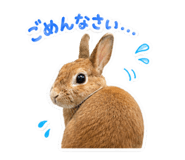 856698211