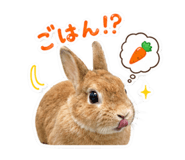 856698213