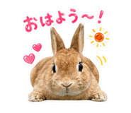 856698216