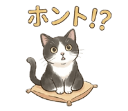 856698234