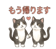 856698237