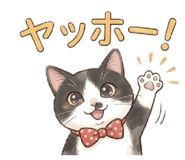 856698244
