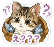856698626