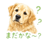 856698778