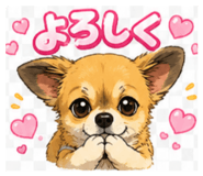 856698815