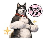 856699119