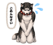 856699122