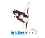 856699127
