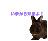 856699197