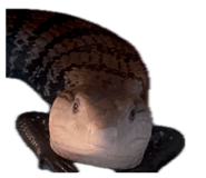 856699389