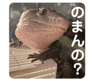 856699395