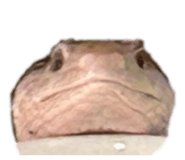 856699405
