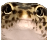 856699407