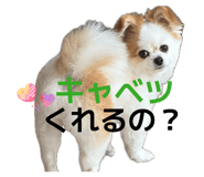 856699572