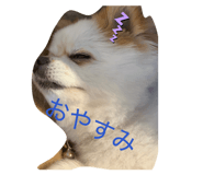 856699573