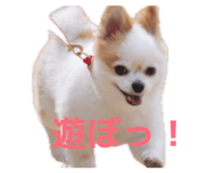 856699575