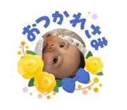 856701466