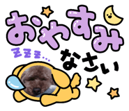 856701558