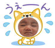 856702306