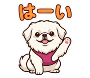 856702405