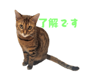 856702704