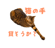 856702705