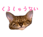 856702707