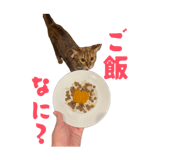 856702709