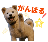 856703120