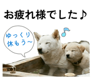 856703121