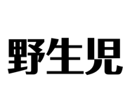 856703529