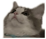 856704064