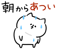 856704274