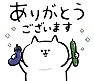 856704303
