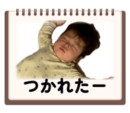 856705202