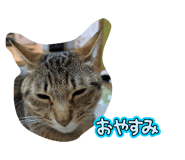 856706649