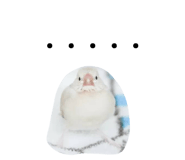 856706675