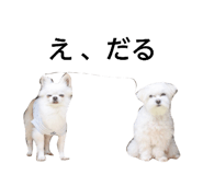 856706677