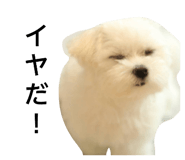 856706689