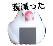 856706693