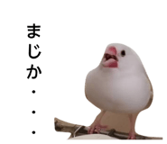 856706696
