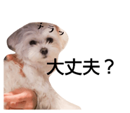856706703