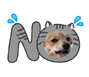 856706746