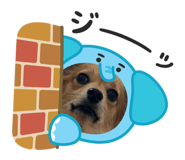856706747