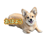 856706750