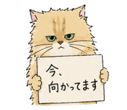 856706780