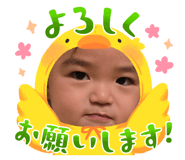 856706808