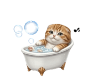 856707408