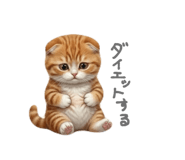 856707410