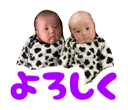 856707529